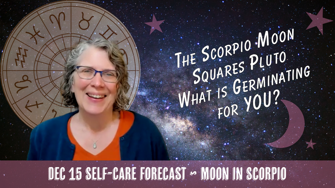 The Scorpio Moon Squares Pluto in Aquarius: What is Germinating? // Astro Vibe for Mon Dec 15